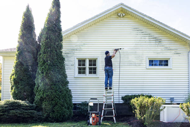 Best Residential Pressure Washing Services  in Lake City, FL