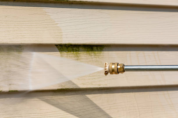 Best Exterior Home Cleaning  in Lake City, FL